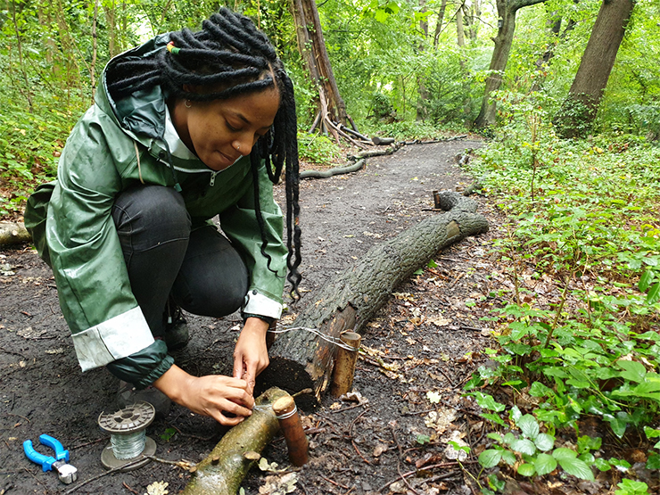 Person working on a wildlife project in the woods