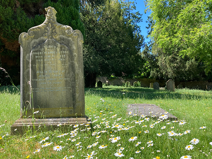 Grave surrounded by daisies at Rectory Lane Cemetery
