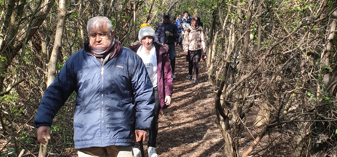 People walking on a woodland path