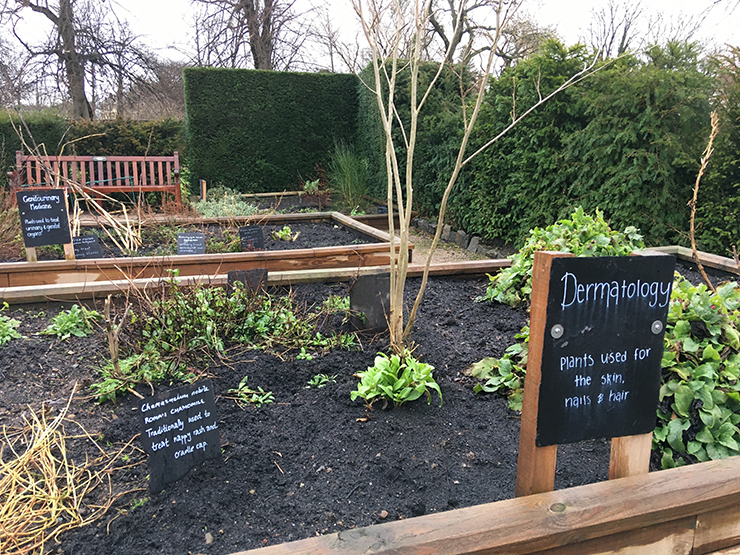 Community garden at Saughton Park