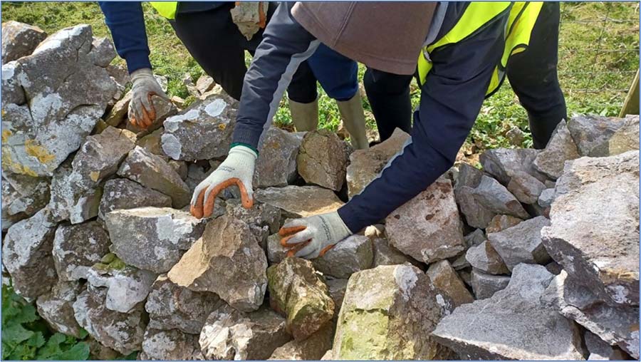 Drystone walling People in high-vis jackets building a drystone wall