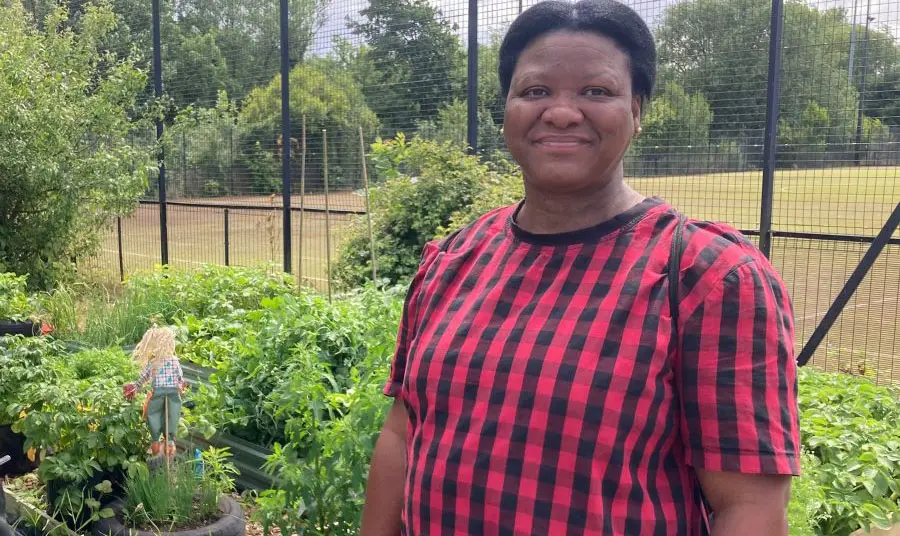 Eco Therapy Garden in Kirkby A person standing next to a community garden plot