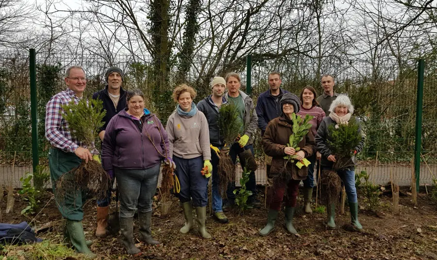 Participants plant mixed species hedges on the museum estate