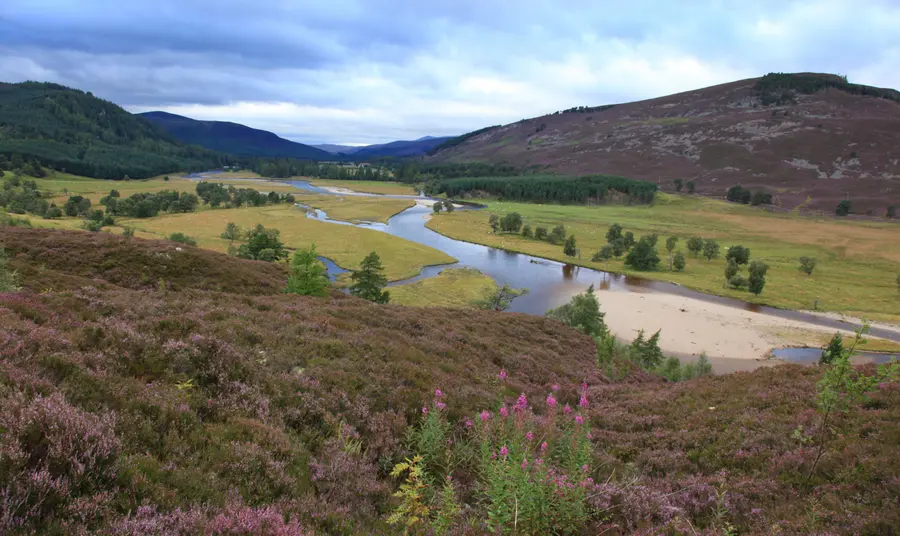 The Mar Lodge Estate National Nature Reserve. A view across a river valley on the Mar Lodge Estate, with purple heather in the foreground and atmospheric hills beyond.