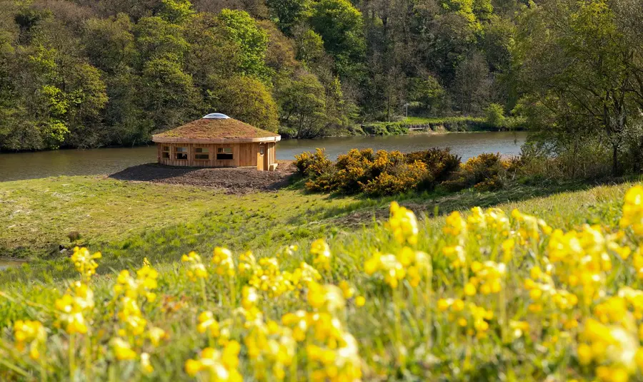 Wetland Encounters Lagoon View Hide in the sunshine