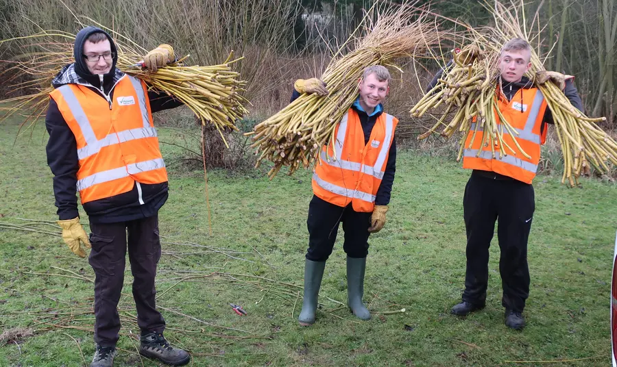 Environmental sustainability Three young men carrying willow