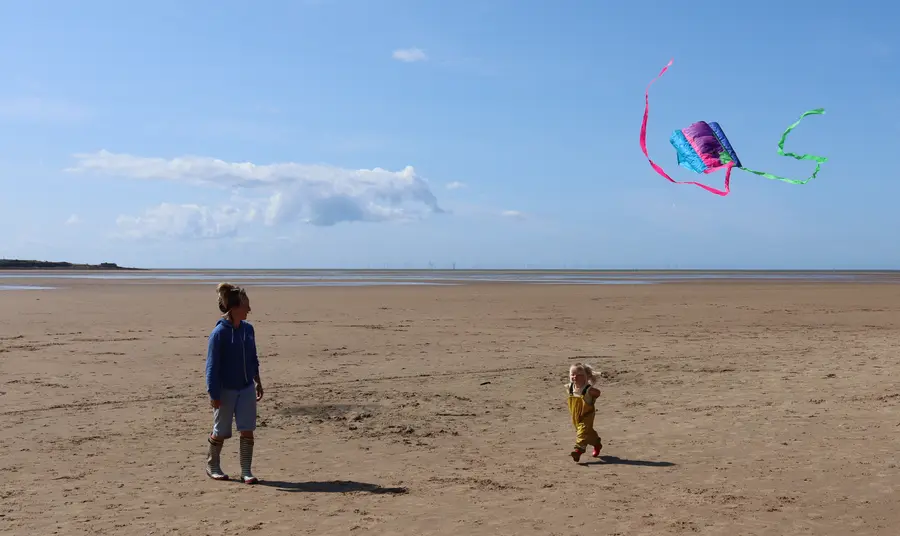 Coastal communities to help wildlife of Dee Estuary Dynes a phlentyn gyda barcud ar draeth