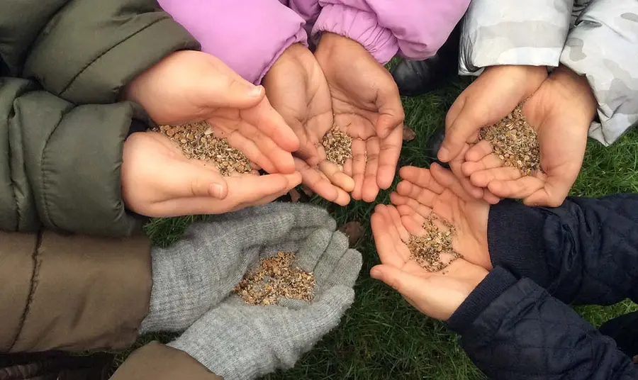 We can all make a difference Hands holding seeds
