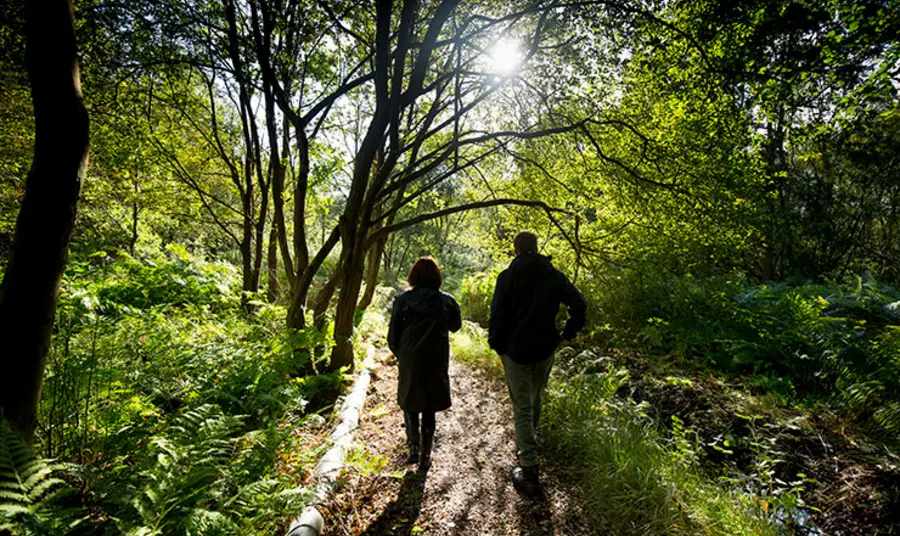 Space to Thrive report, January 2020 People walking in a park