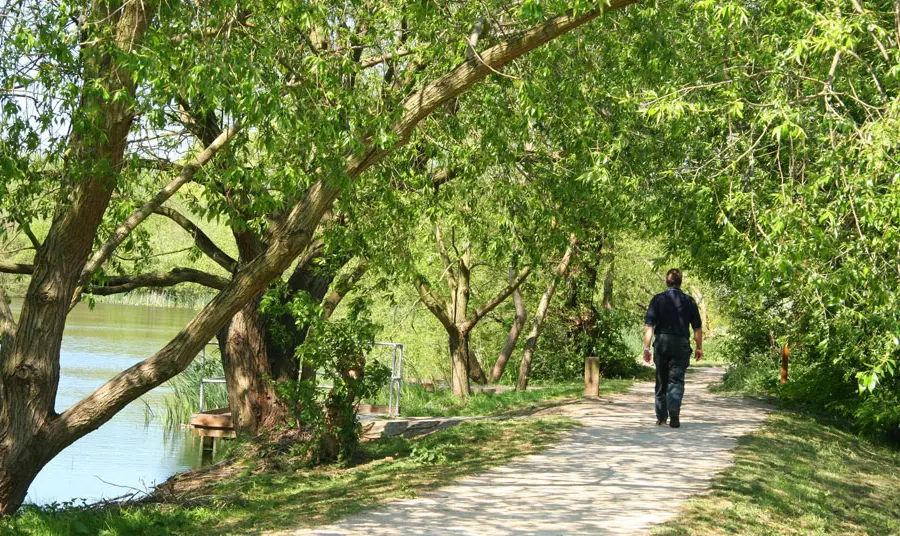 Nottingham City Council parks A person walks on a path under trees and next to a lake in summer