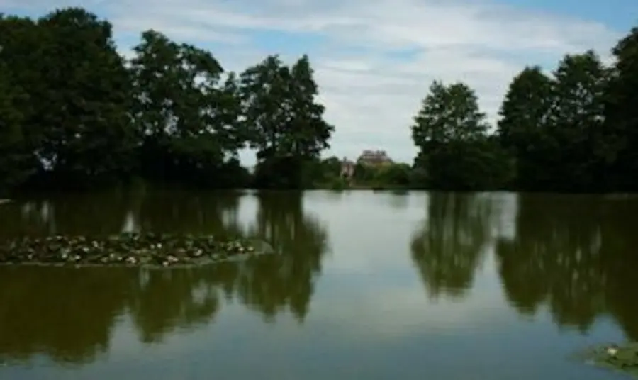 View overlooking the lake at Ampthill Great Park View overlooking the lake at Ampthill Great Park