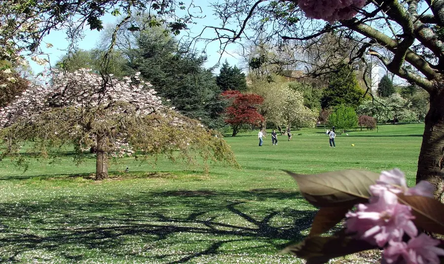 Bute Park, Cardiff Bute Park, Cardiff