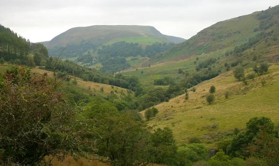 Tirwedd Gwarchodfa Natur Gilfach