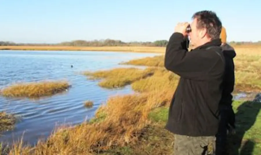 Birdwatching at Upton Heath Birdwatching at Upton Heath