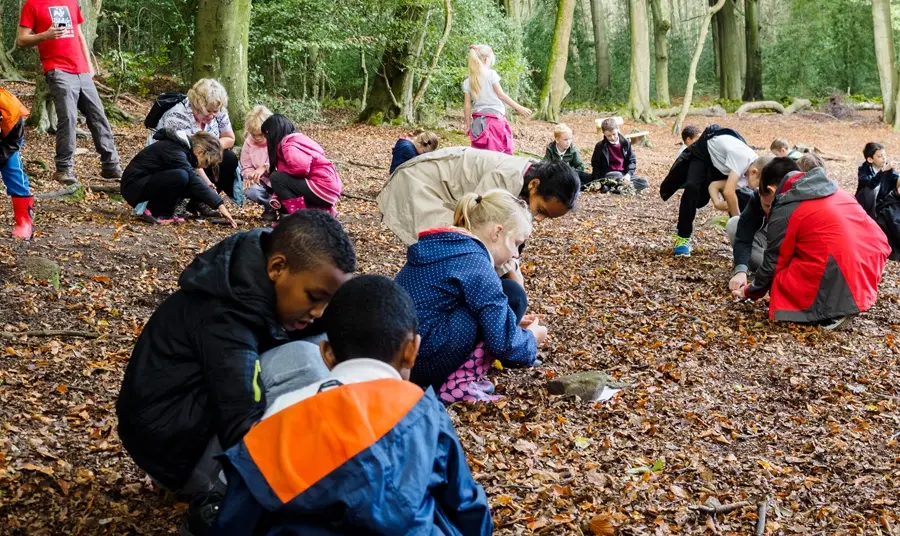 Greno Woods Pupils from St Thomas More Catholic Primary at Greno Woods in Sheffield