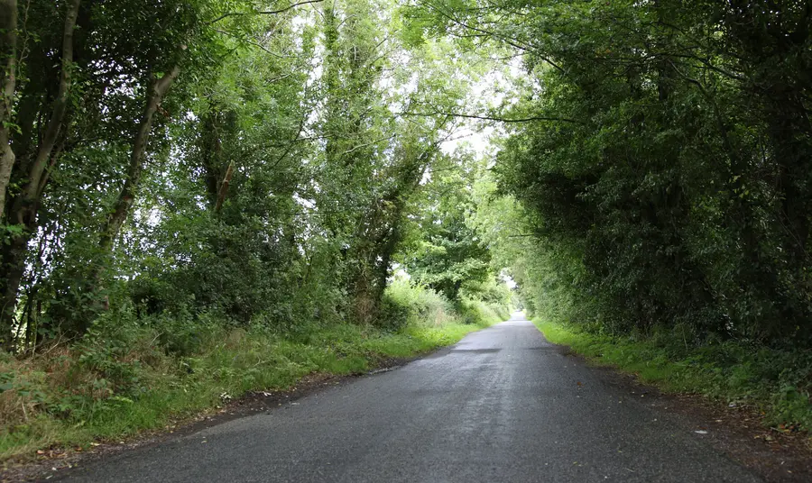 Seamus Heaney - The 'Living Past' project The evocative Lagans Road, from the poem 'Edward Thomas on the Lagans Road'