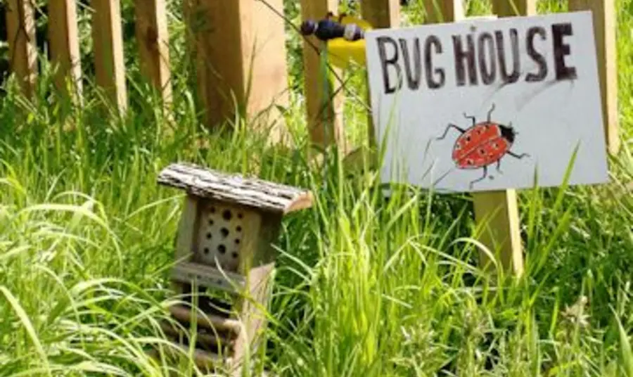 A bughouse, part of the Polli:Nation project A bughouse, part of the Polli:Nation project