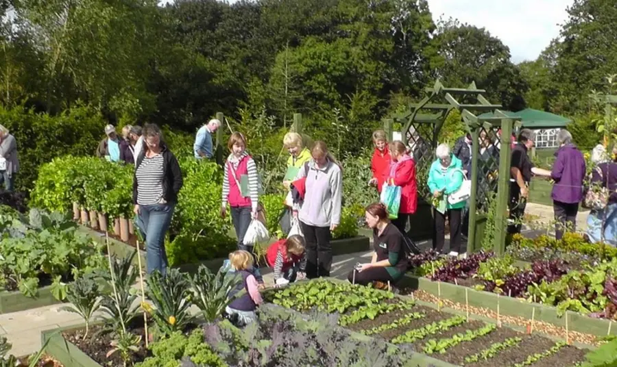 Dig for Victory - A Growing Legacy People visiting the Dig For Victory First World War allotment