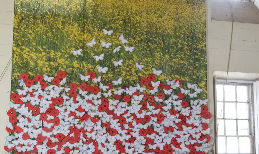 The history wall with red poppies (for those who died) or a white butterfly (for those left behind) The history wall with red poppies (for those who died) or a white butterfly (for those left behind)