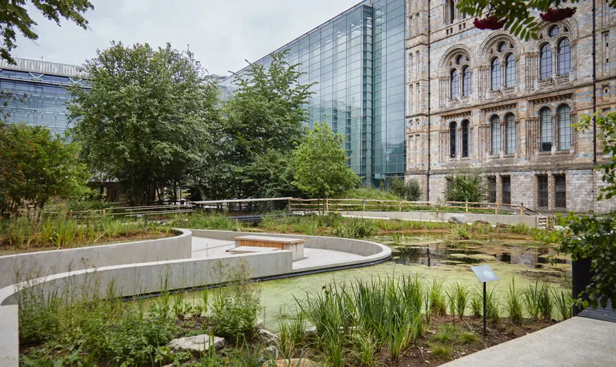 The new gardens with a large pond outside the Natural History Museum