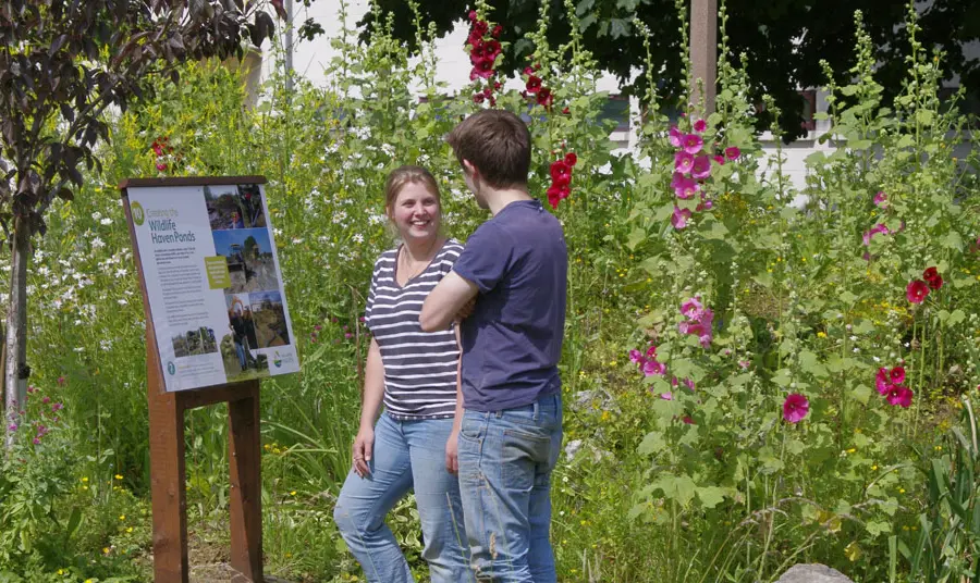 Two people stand in a garden of flowers in front of an interpretation sign