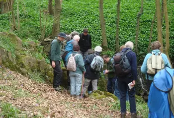 Participants exploring Bradford's lost ancient woodland