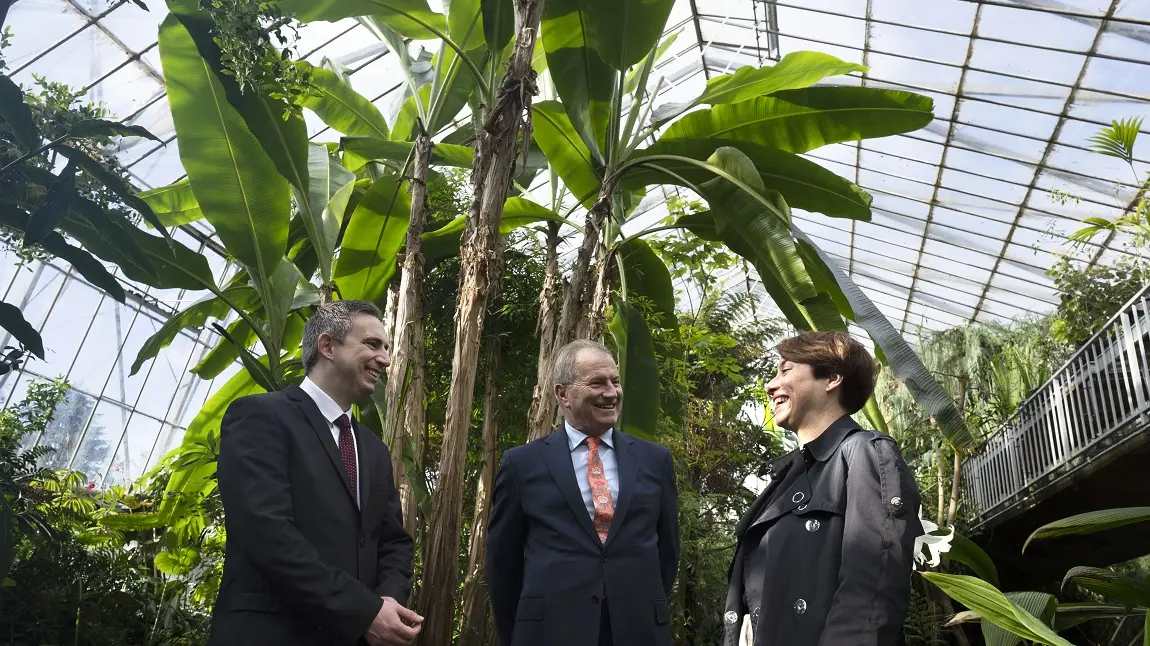 Three people standing underneath a big palm tree in a conservatory