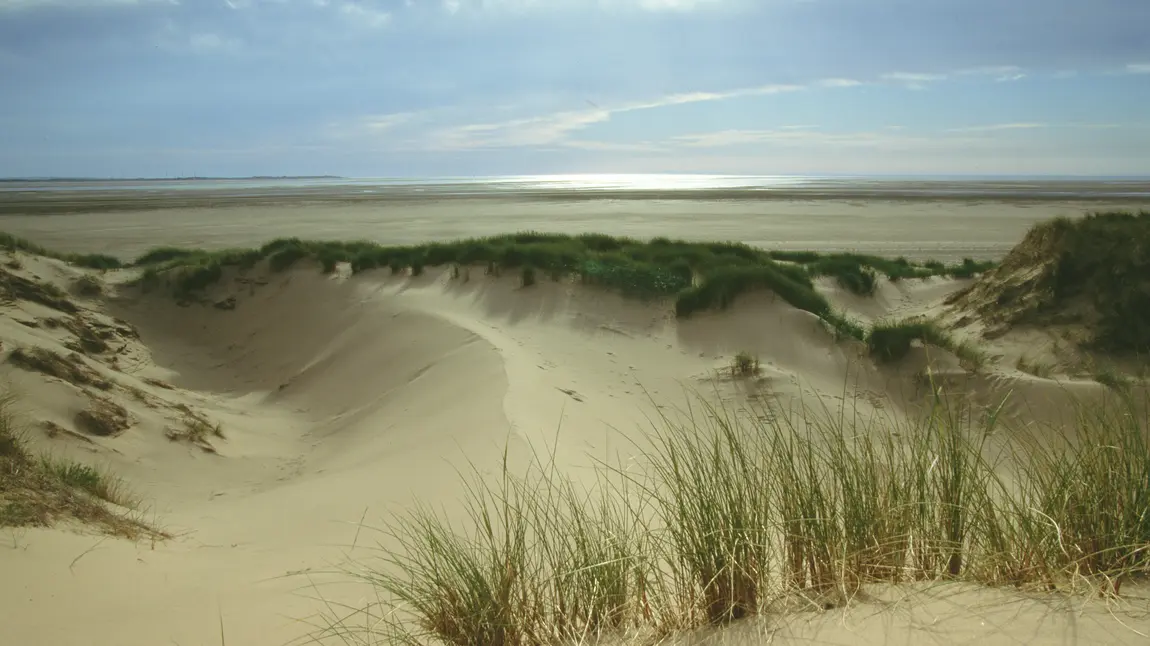 Let’s get sand dunes moving and thriving Duddon Estuary