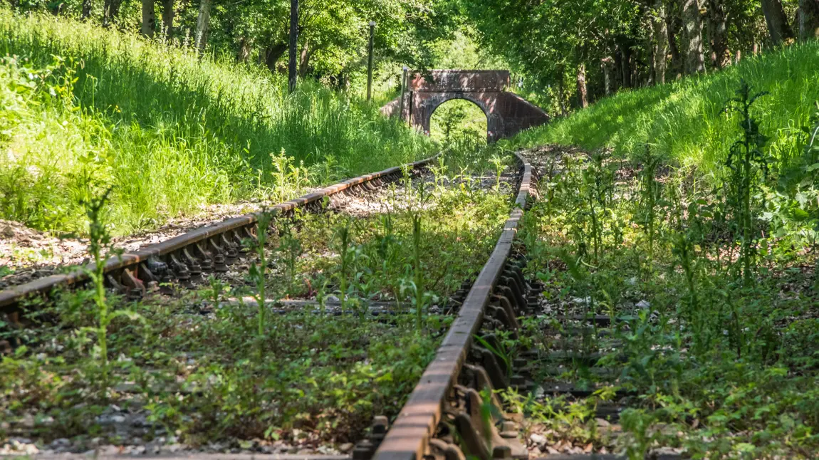 Our heritage railways saved from 'serious jeopardy' Overgrown railway
