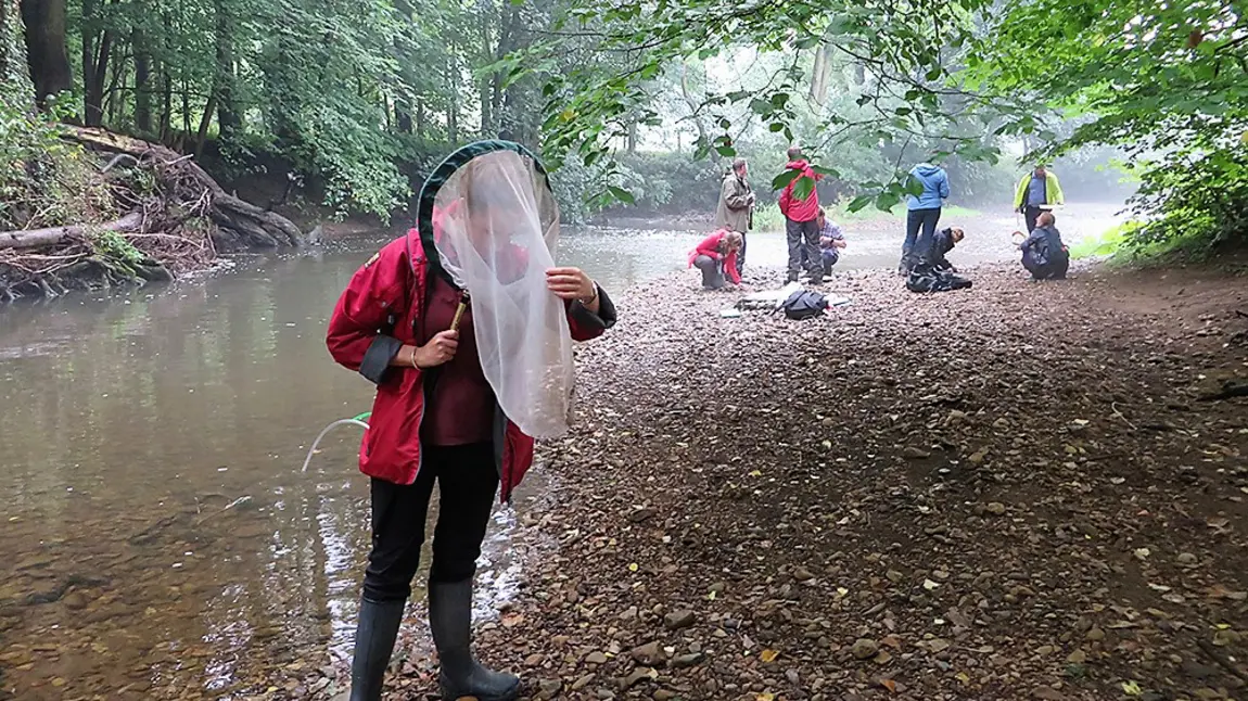 River shingle survey North York Moors communities to help revitalise Rye’s rivers