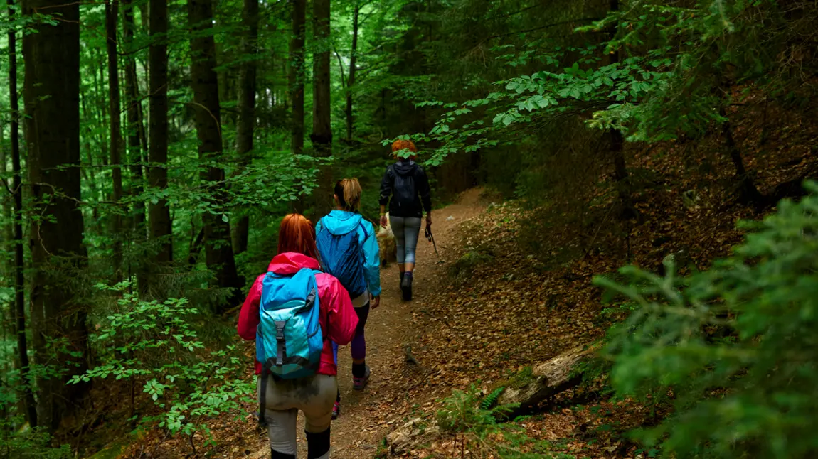 £6million Trees Call to Action Fund coming soon Three people walking along path surrounded by trees