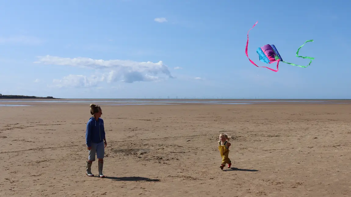 Coastal communities to help wildlife of Dee Estuary Dynes a phlentyn gyda barcud ar draeth