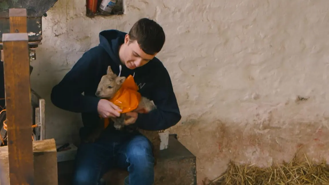 How we help change lives: Tom's story Boy holding a lamb