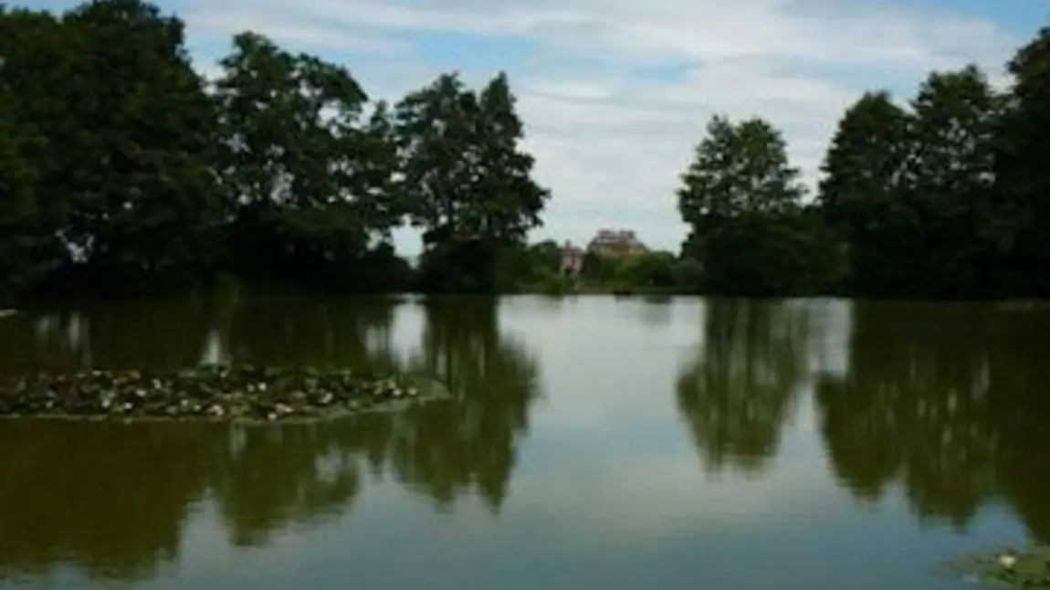 View overlooking the lake at Ampthill Great Park View overlooking the lake at Ampthill Great Park