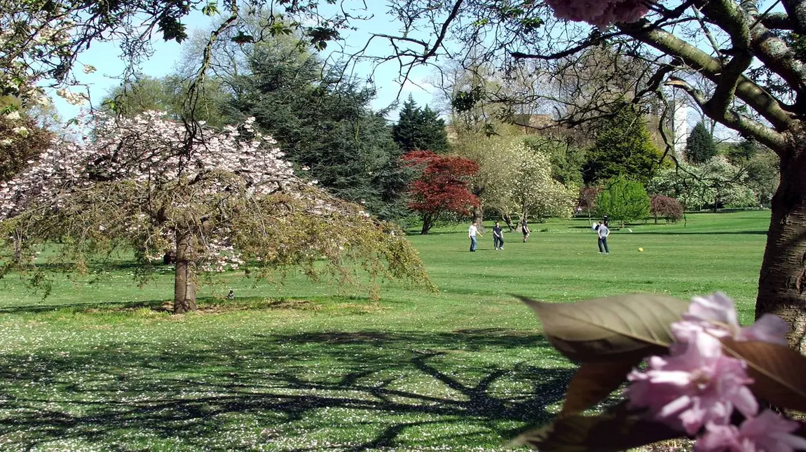 Bute Park, Cardiff Bute Park, Cardiff
