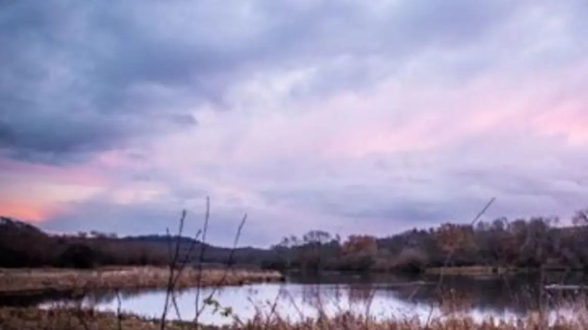 Denaby Ings Nature Reserve, Doncaster. Photo Timm Cleasby Denaby Ings Nature Reserve, Doncaster. Photo Timm Cleasby
