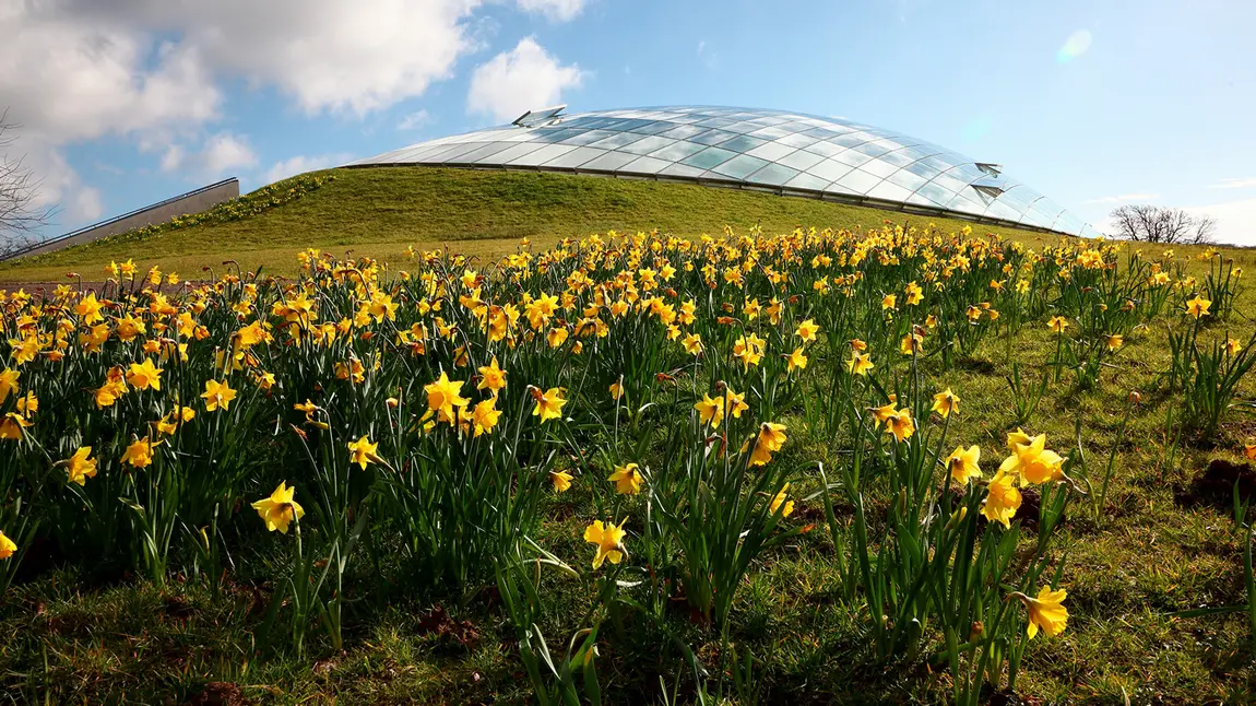 The Great Glasshouse, National Botanic Garden of Wales 