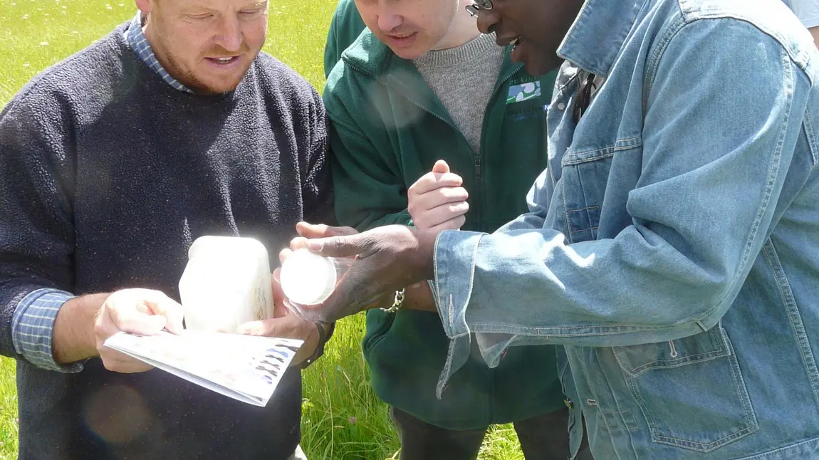 More training opportunities for biodiversity volunteers Participants in an entomology study
