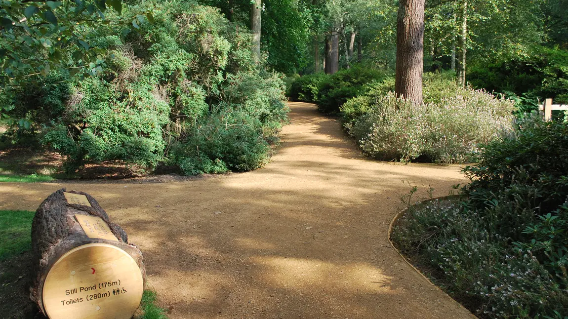 Celebrating great days out for Disabled Access Day Accessible paths in Isabella Plantation, Richmond