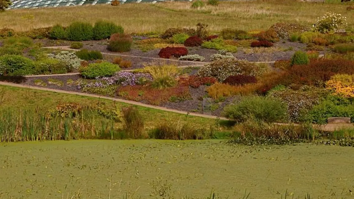 Slate beds at National Botanic Garden Wales Slate beds at National Botanic Garden Wales