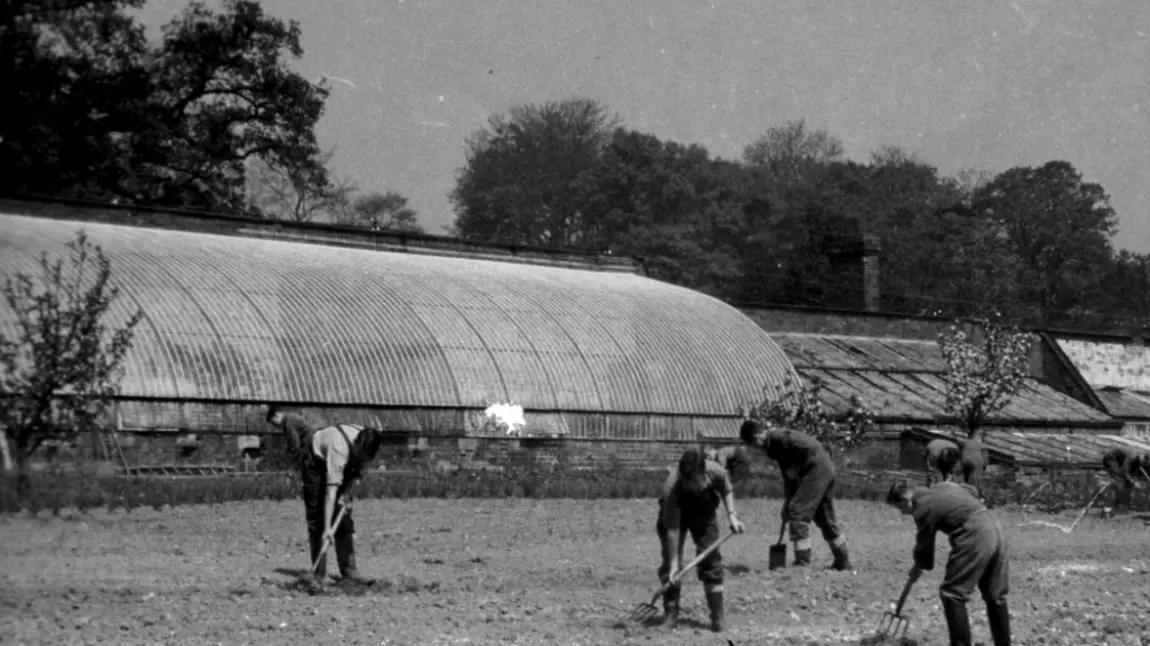 Ahead of the curve! Rare glasshouse to be restored Curvilinear gasshouse in Millichope Park
