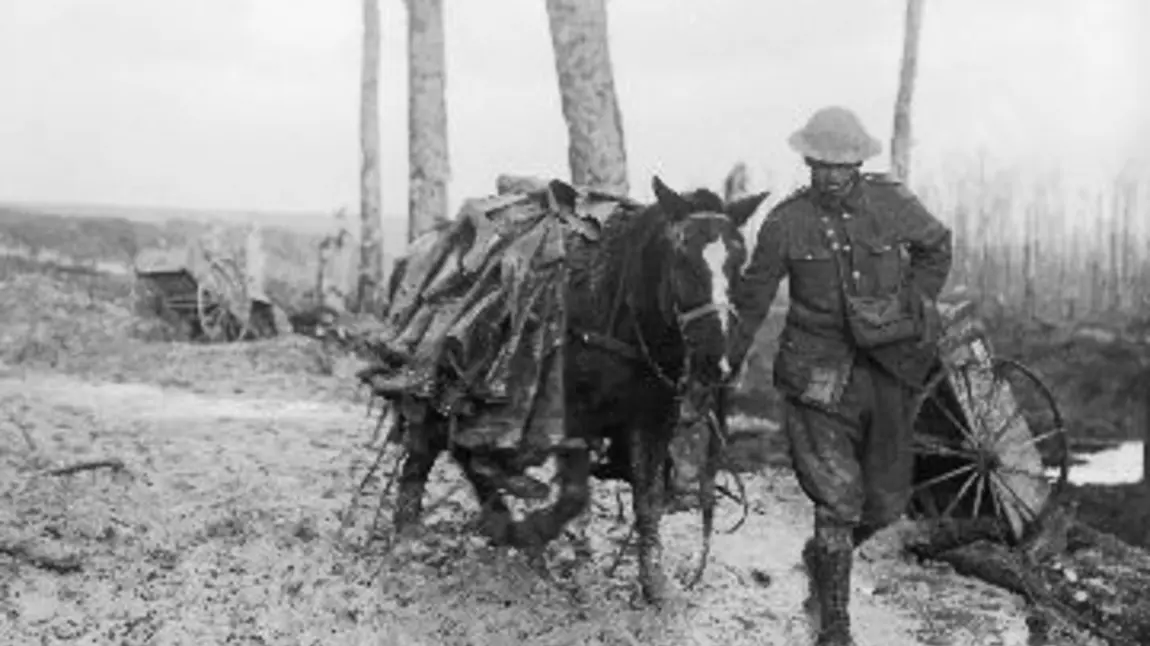 A pack horse loaded with rubber trench boots (waders) is led through the mud near Beaumont Hamel on the Somme battlefield A pack horse loaded with rubber trench boots (waders) is led through the mud near Beaumont Hamel on the Somme battlefield