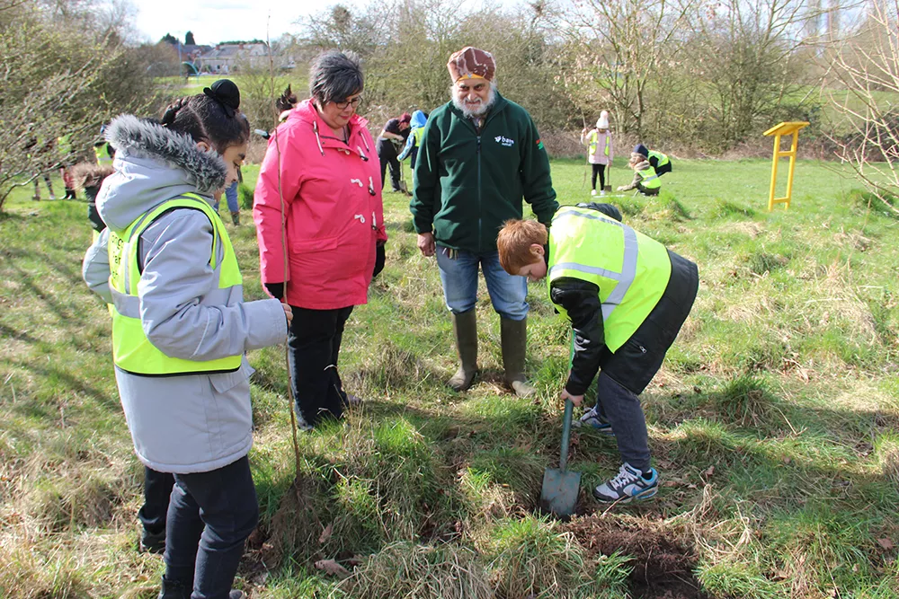 One person digs a hole with three onlooking people. 